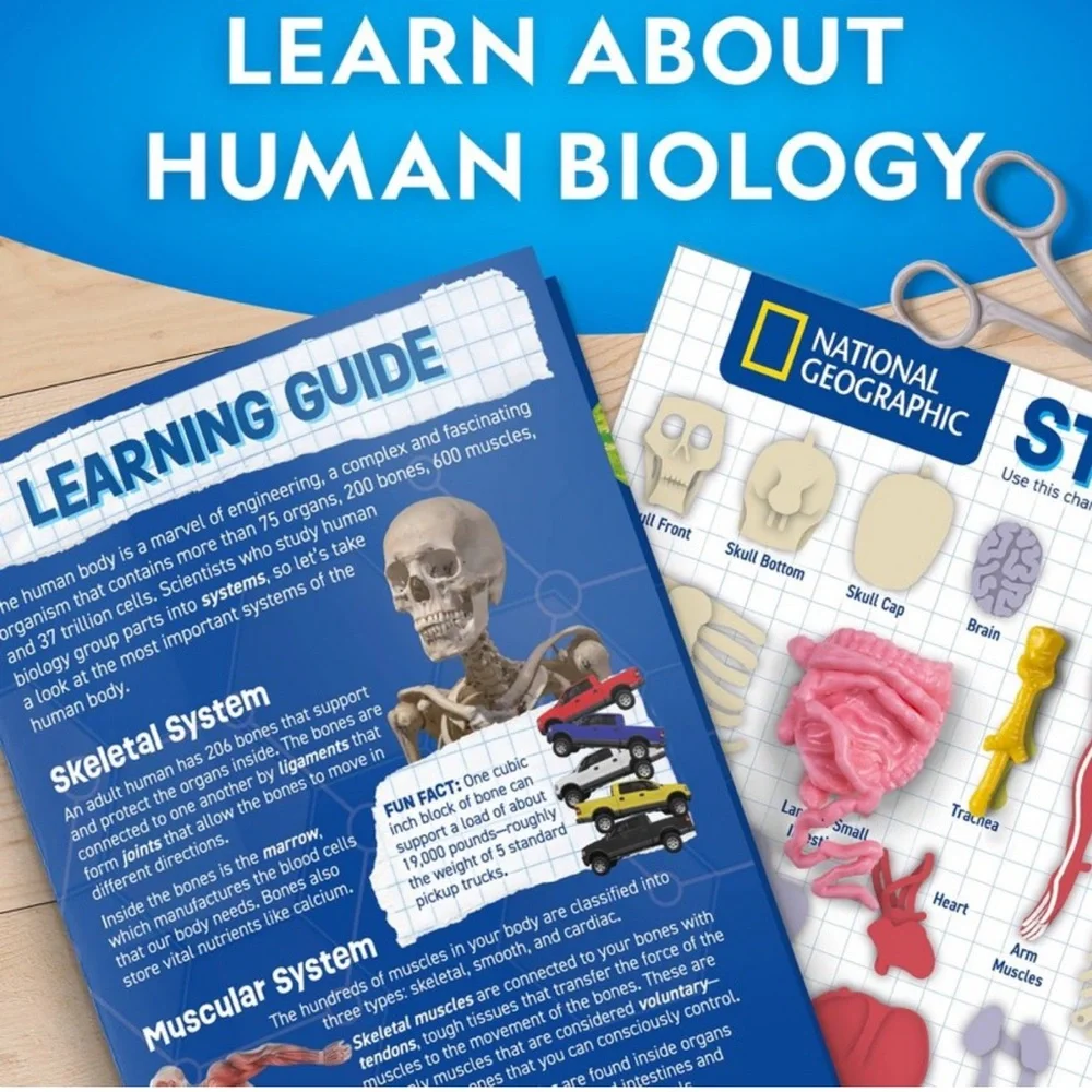 National Geographic Glow-In-The-Dark Human Body: Science Kit & Activity Guide
